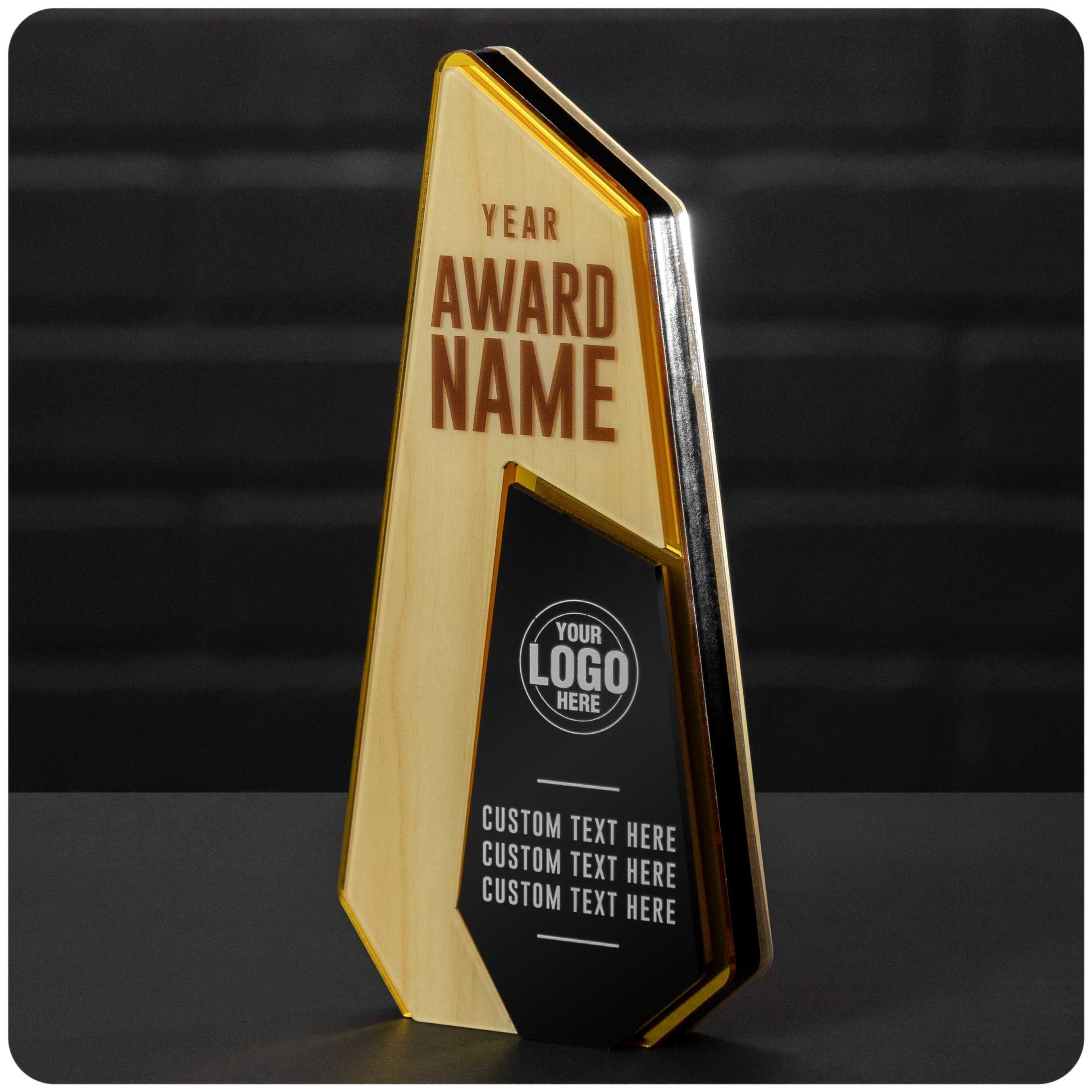 9" Elevate Custom Acrylic Award