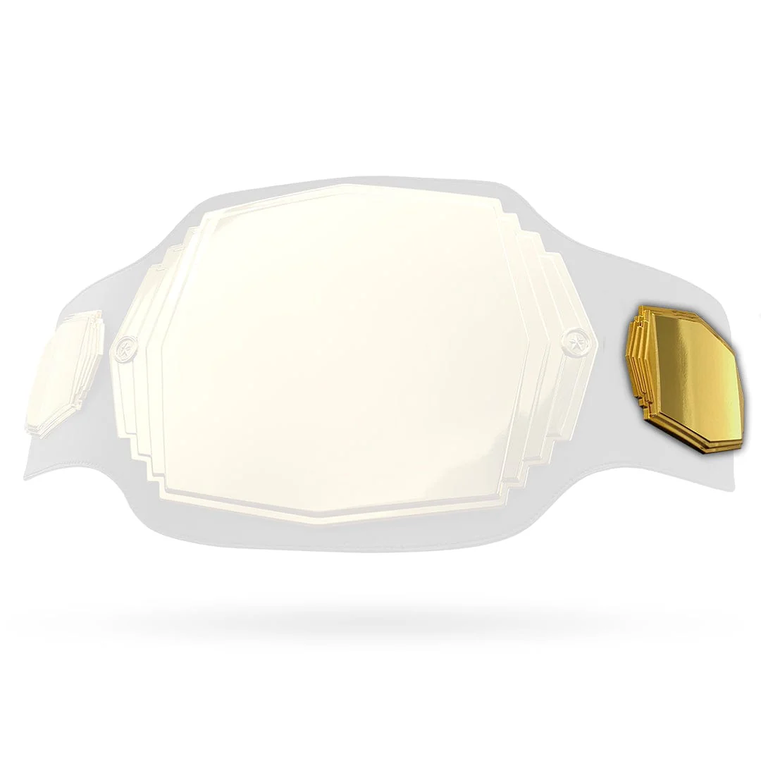 Replacement Side Plates for The Ultimate 6lb Custom Championship Belt - Image 2